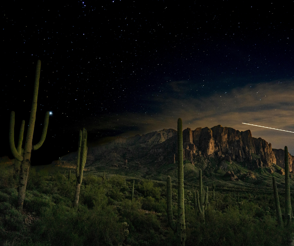 Desert Nightfall